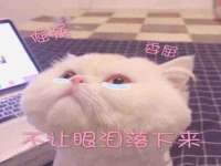 湖南保平再生资源有限责任公司