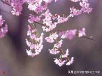 湖南保平再生资源有限责任公司