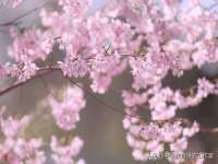 湖南保平再生资源有限责任公司