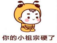 湖南保平再生资源有限责任公司