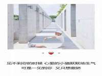 湖南保平再生资源有限责任公司