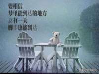 湖南保平再生资源有限责任公司