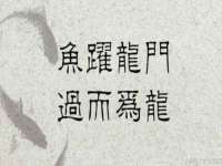 湖南保平再生资源有限责任公司