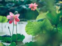 湖南保平再生资源有限责任公司
