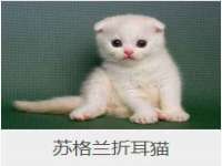 湖南保平再生资源有限责任公司