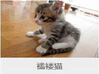 湖南保平再生资源有限责任公司