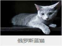 湖南保平再生资源有限责任公司