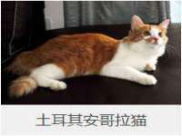 湖南保平再生资源有限责任公司