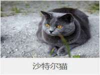 湖南保平再生资源有限责任公司