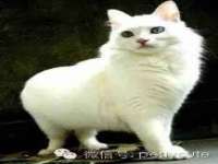 湖南保平再生资源有限责任公司