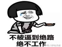 湖南保平再生资源有限责任公司