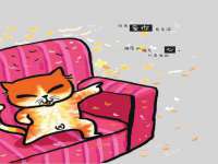 湖南保平再生资源有限责任公司