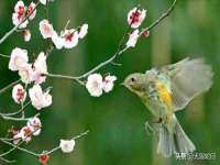 湖南保平再生资源有限责任公司