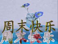 湖南保平再生资源有限责任公司