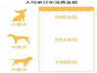 湖南保平再生资源有限责任公司
