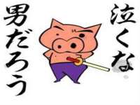 湖南保平再生资源有限责任公司