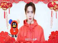 湖南保平再生资源有限责任公司