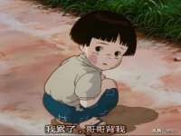 湖南保平再生资源有限责任公司
