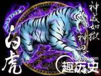 湖南保平再生资源有限责任公司