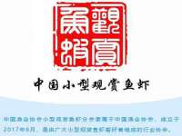 湖南保平再生资源有限责任公司