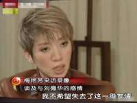 湖南保平再生资源有限责任公司