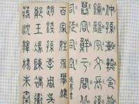 湖南保平再生资源有限责任公司