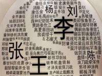 湖南保平再生资源有限责任公司