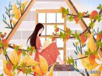 湖南保平再生资源有限责任公司