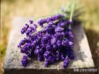 湖南保平再生资源有限责任公司