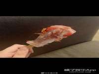 湖南保平再生资源有限责任公司